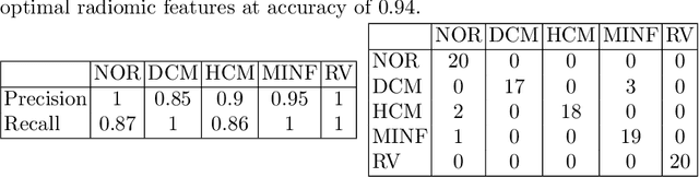 Figure 2 for A Radiomics Approach to Computer-Aided Diagnosis with Cardiac Cine-MRI