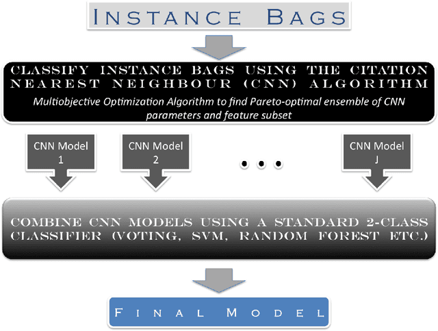 Figure 1 for A multi-instance learning algorithm based on a stacked ensemble of lazy learners