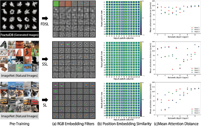 Figure 3 for Can Vision Transformers Learn without Natural Images?