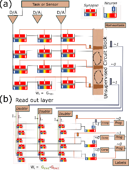 Figure 2 for Plasticity-Enhanced Domain-Wall MTJ Neural Networks for Energy-Efficient Online Learning