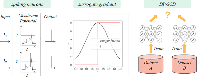 Figure 1 for DPSNN: A Differentially Private Spiking Neural Network