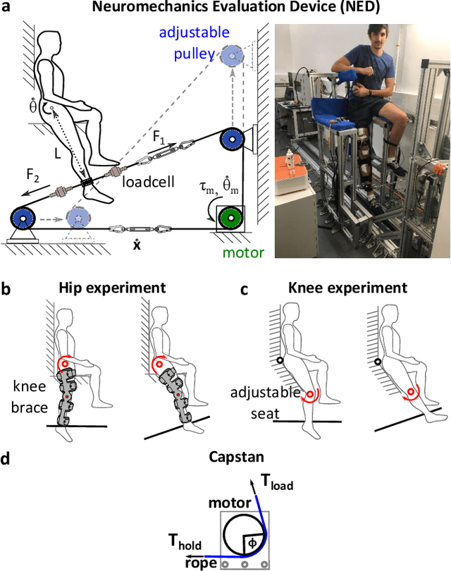 Figure 1 for Cable-driven robotic interface for lower limb neuromechanics identification