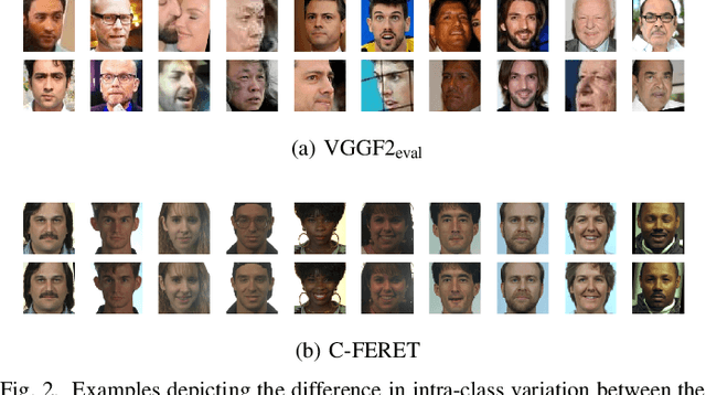 Figure 2 for Multiple-Identity Image Attacks Against Face-based Identity Verification
