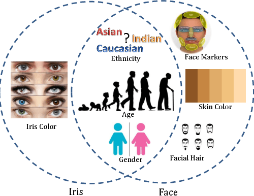 Figure 1 for Gender and Ethnicity Classification of Iris Images using Deep Class-Encoder