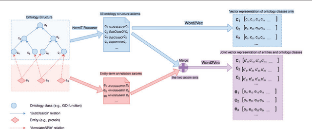 Figure 1 for Onto2Vec: joint vector-based representation of biological entities and their ontology-based annotations