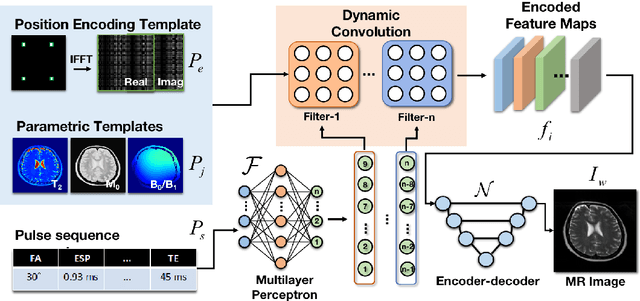 Figure 1 for High-efficient Bloch simulation of magnetic resonance imaging sequences based on deep learning