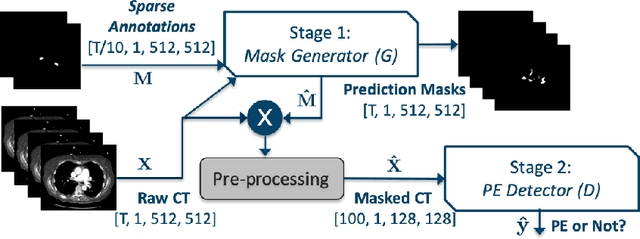 Figure 1 for Pi-PE: A Pipeline for Pulmonary Embolism Detection using Sparsely Annotated 3D CT Images