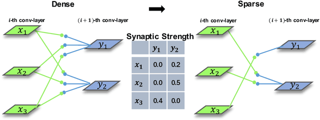 Figure 3 for Synaptic Strength For Convolutional Neural Network