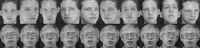 Figure 2 for Classification with Repulsion Tensors: A Case Study on Face Recognition