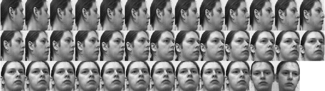 Figure 4 for Classification with Repulsion Tensors: A Case Study on Face Recognition