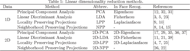 Figure 1 for Classification with Repulsion Tensors: A Case Study on Face Recognition