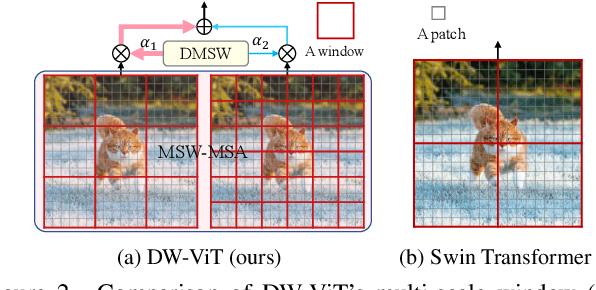 Figure 3 for Beyond Fixation: Dynamic Window Visual Transformer