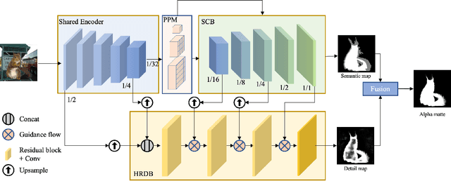 Figure 3 for PP-Matting: High-Accuracy Natural Image Matting