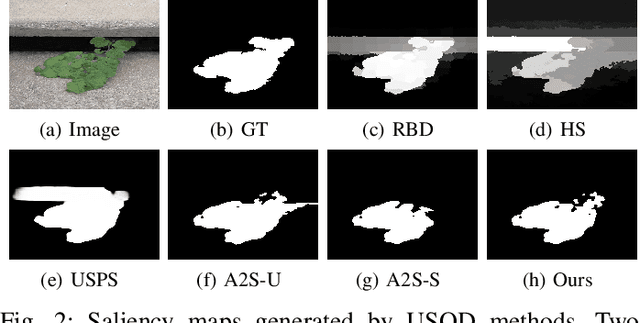 Figure 2 for Appearance-guided Attentive Self-Paced Learning for Unsupervised Salient Object Detection