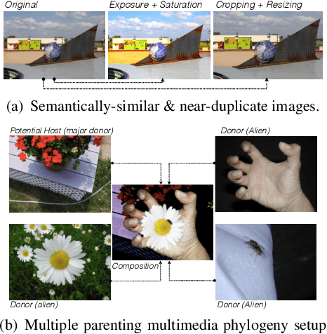 Figure 1 for Provenance Filtering for Multimedia Phylogeny