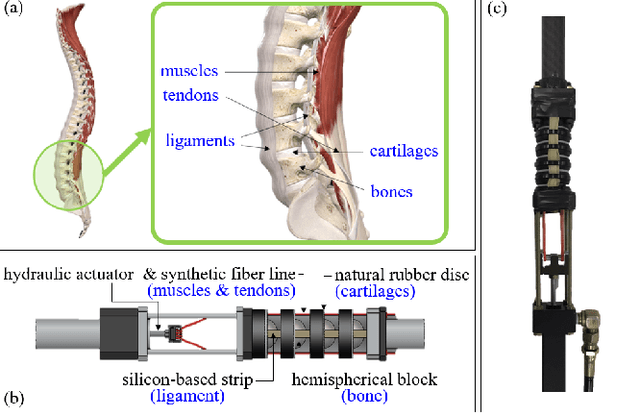 Figure 2 for Spine-like Joint Link Mechanism to Design Wearable Assistive Devices with Comfort and Support