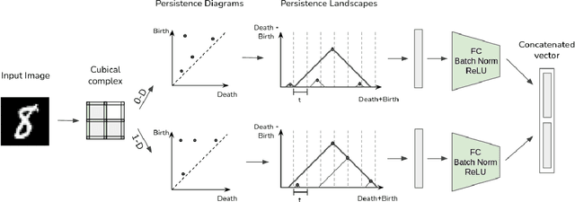 Figure 1 for Rethinking Persistent Homology for Visual Recognition