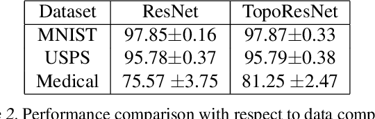 Figure 4 for Rethinking Persistent Homology for Visual Recognition