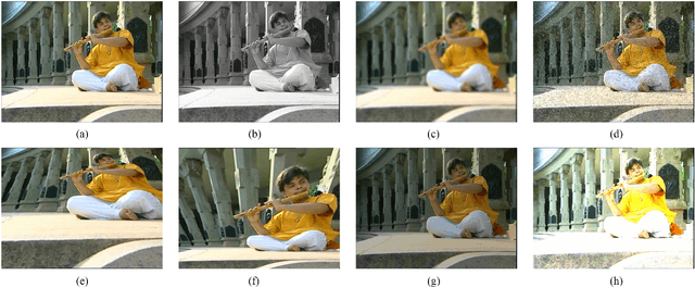 Figure 3 for The Role of the Input in Natural Language Video Description