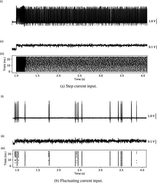 Figure 2 for Reliability of Event Timing in Silicon Neurons