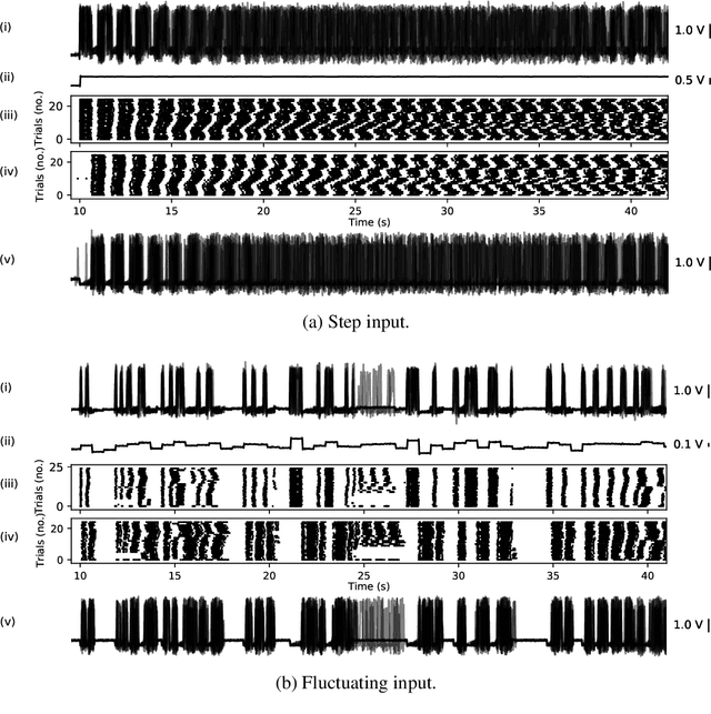 Figure 4 for Reliability of Event Timing in Silicon Neurons