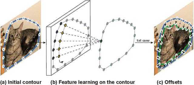 Figure 1 for Deep Snake for Real-Time Instance Segmentation