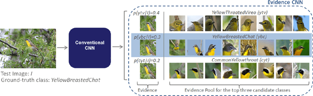 Figure 3 for Guided Zoom: Questioning Network Evidence for Fine-grained Classification