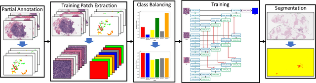 Figure 2 for Deep Multi-Magnification Networks for Multi-Class Breast Cancer Image Segmentation