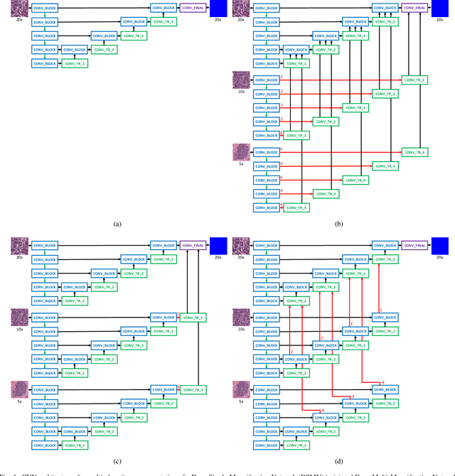 Figure 4 for Deep Multi-Magnification Networks for Multi-Class Breast Cancer Image Segmentation