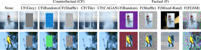 Figure 3 for Towards Robust Classification Model by Counterfactual and Invariant Data Generation