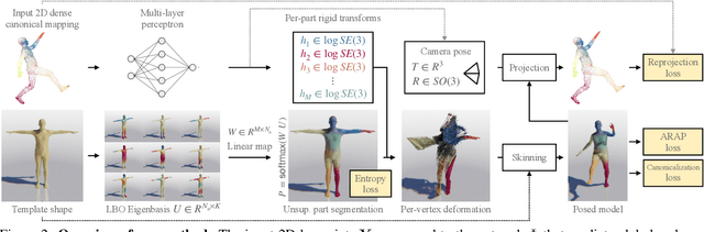 Figure 2 for DensePose 3D: Lifting Canonical Surface Maps of Articulated Objects to the Third Dimension