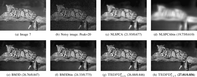 Figure 3 for Fast and Accurate Poisson Denoising with Optimized Nonlinear Diffusion