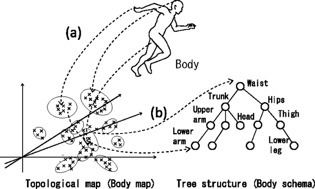 Figure 1 for Bayesian Body Schema Estimation using Tactile Information obtained through Coordinated Random Movements