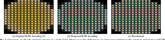 Figure 2 for A Pipeline for Lenslet Light Field Quality Enhancement