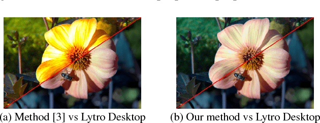 Figure 3 for A Pipeline for Lenslet Light Field Quality Enhancement