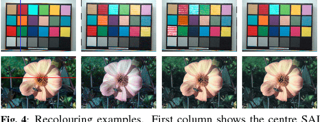 Figure 4 for A Pipeline for Lenslet Light Field Quality Enhancement