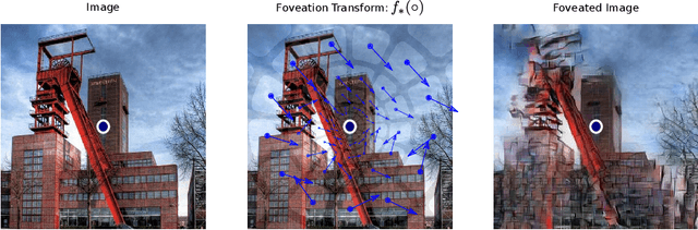 Figure 1 for Emergent Properties of Foveated Perceptual Systems