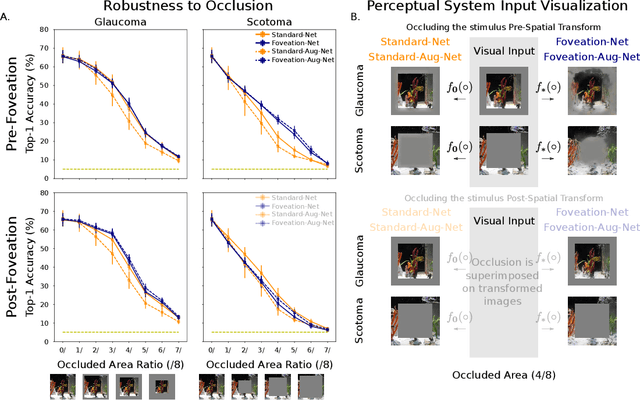 Figure 4 for Emergent Properties of Foveated Perceptual Systems
