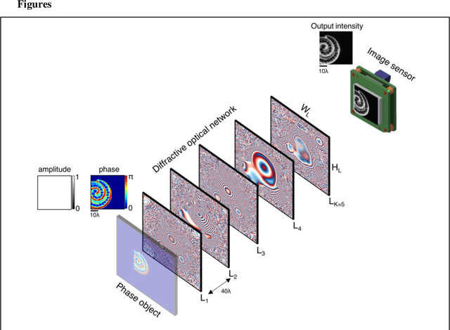 Figure 1 for Diffractive all-optical computing for quantitative phase imaging
