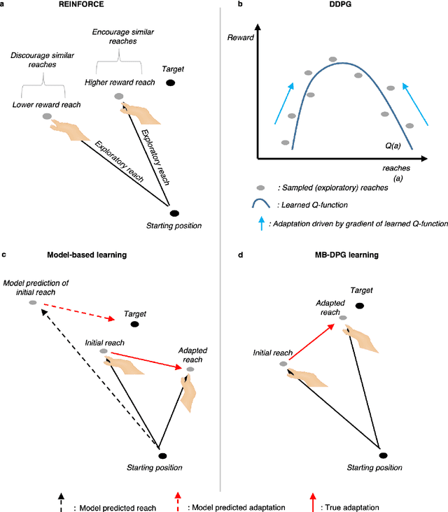 Figure 3 for What deep reinforcement learning tells us about human motor learning and vice-versa