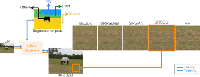 Figure 1 for Benefiting from Multitask Learning to Improve Single Image Super-Resolution