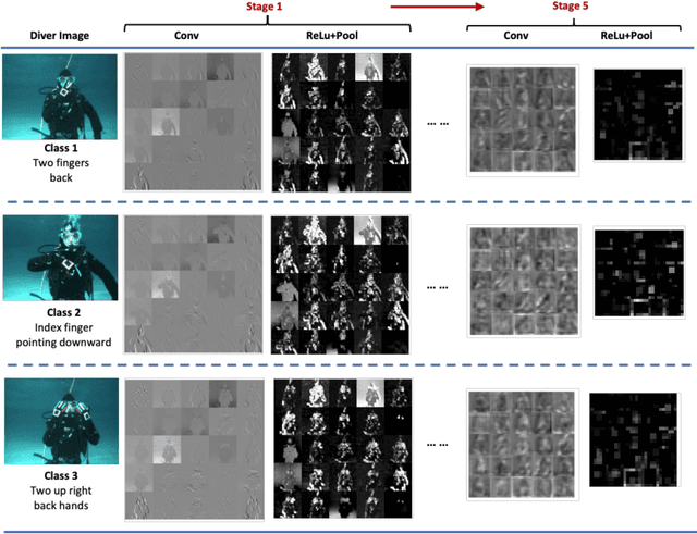 Figure 4 for DARE: AI-based Diver Action Recognition System using Multi-Channel CNNs for AUV Supervision