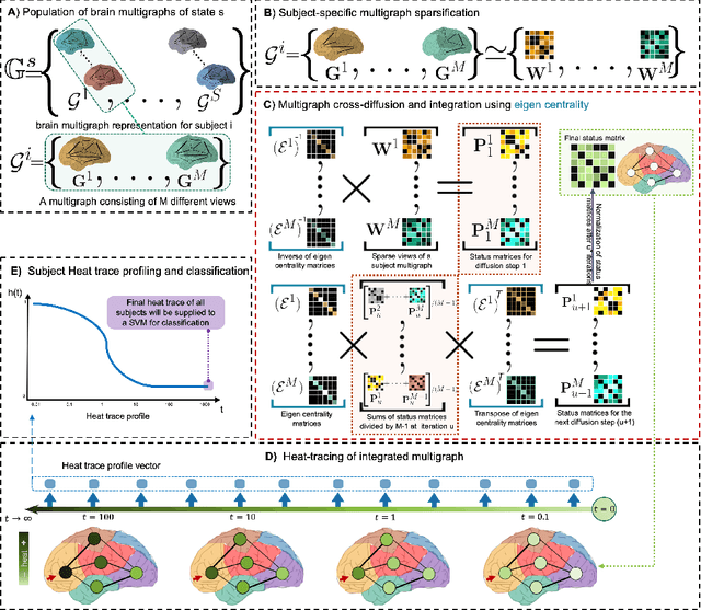 Figure 1 for Multi-Scale Profiling of Brain Multigraphs by Eigen-based Cross-Diffusion and Heat Tracing for Brain State Profiling