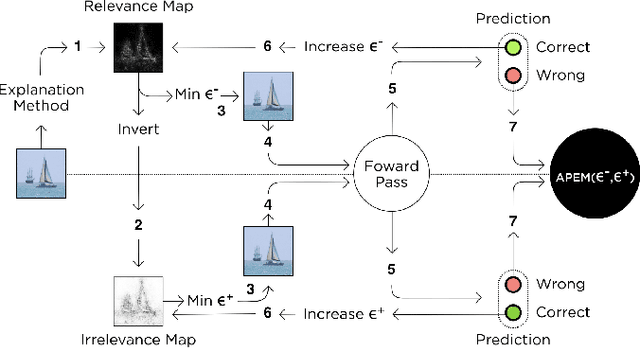 Figure 1 for Assessing the Reliability of Visual Explanations of Deep Models with Adversarial Perturbations