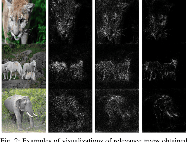 Figure 2 for Assessing the Reliability of Visual Explanations of Deep Models with Adversarial Perturbations