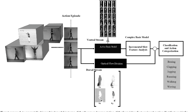 Figure 3 for A Dual Fast and Slow Feature Interaction in Biologically Inspired Visual Recognition of Human Action