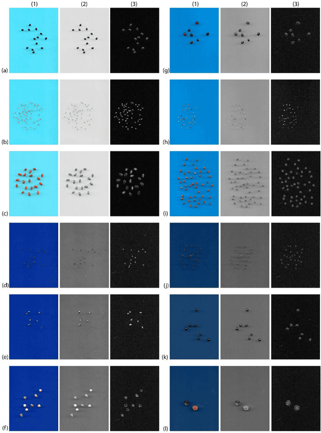 Figure 4 for A new automatic approach to seed image analysis: From acquisition to segmentation