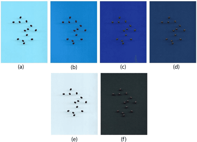 Figure 1 for A new automatic approach to seed image analysis: From acquisition to segmentation