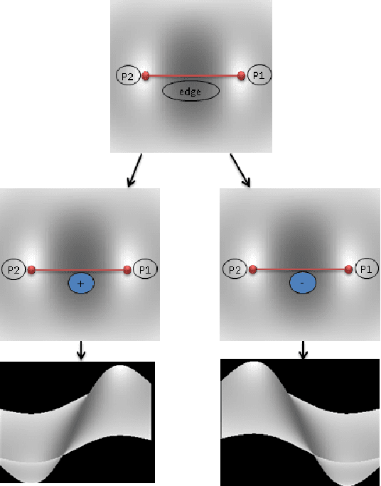 Figure 2 for Boundary conditions for Shape from Shading