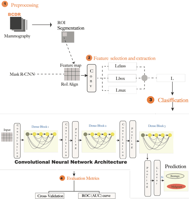 Figure 1 for DenseNet for Breast Tumor Classification in Mammographic Images